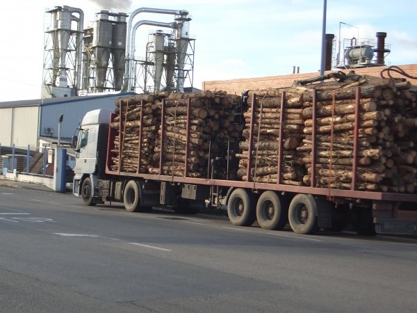   Acceso, ayer, de un camión a Orember. En esta empresa se quemó el jueves la madera detectada.