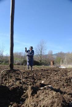 Un trabajador en el campo, en Viloira. (Foto: LUIS BLANCO)