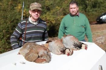 Tres de las piezas capturadas en el comienzo de la temporada de caza.