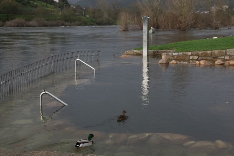 Ourense, Chavasqueira. 7-01-2015. Termas de A Chavasqueira inundadas. Paz