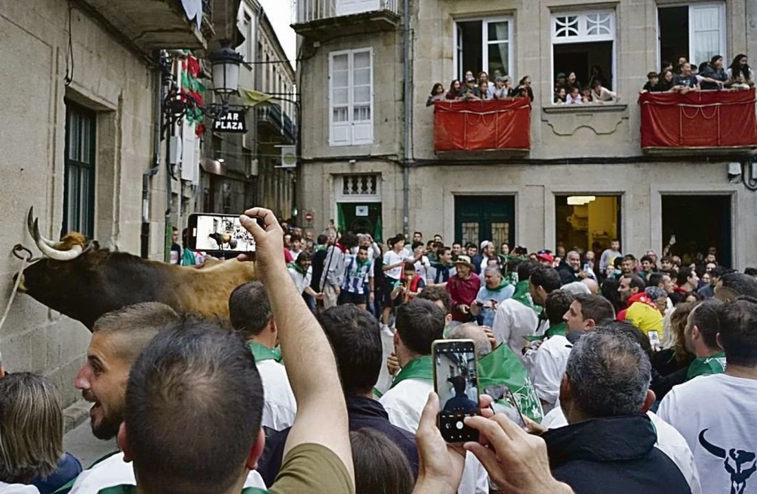 Una de las imágenes del primer día de la Festa do Boi en Allariz (Foto: Marcos Atrio).