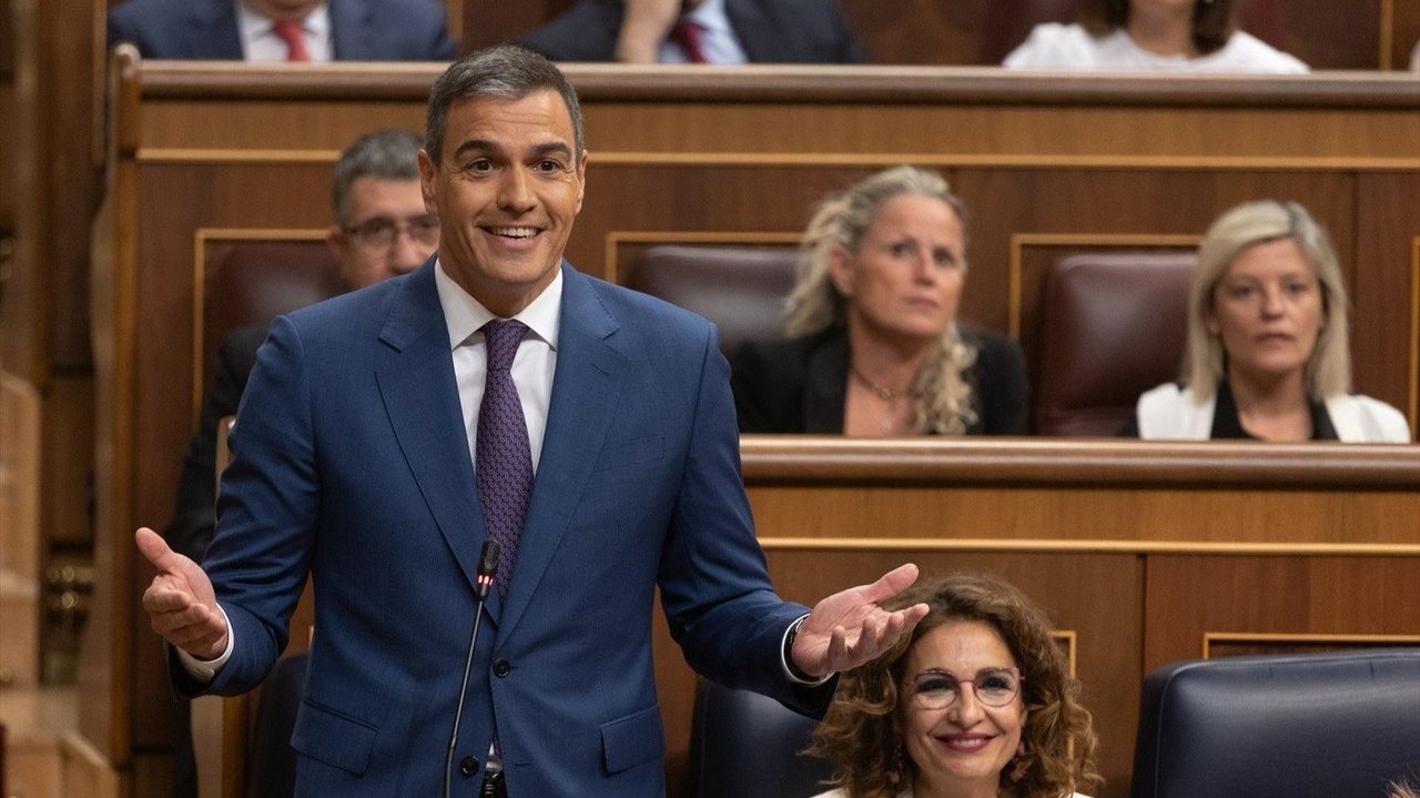 Pedro Sánchez, en el Congreso de los Diputados (Foto. Europa Press)