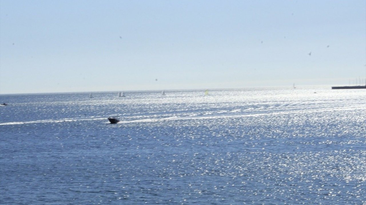 Tareas de búsqueda de los tripulantes desaparecidos frente a la costa portuguesa
